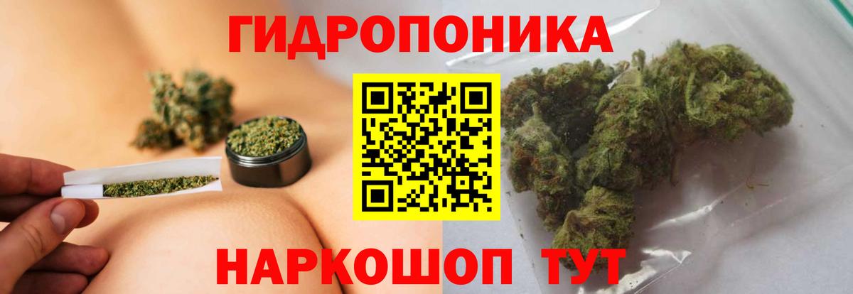 Конопля сатива Серпухов